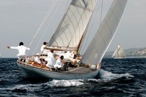 powerhouse regatta