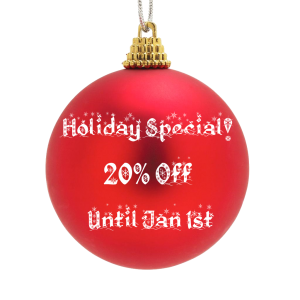 Holiday Special! Success Store 20% Off!